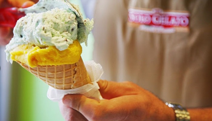 Solo Gelato - Ice Cream Shop