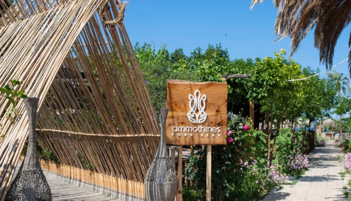 Ammothines Beach Bar