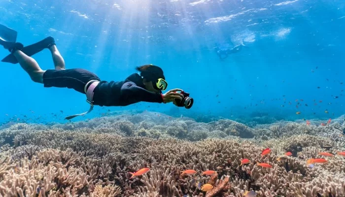 SCUBA TURTLES - Snorkelling & Diving