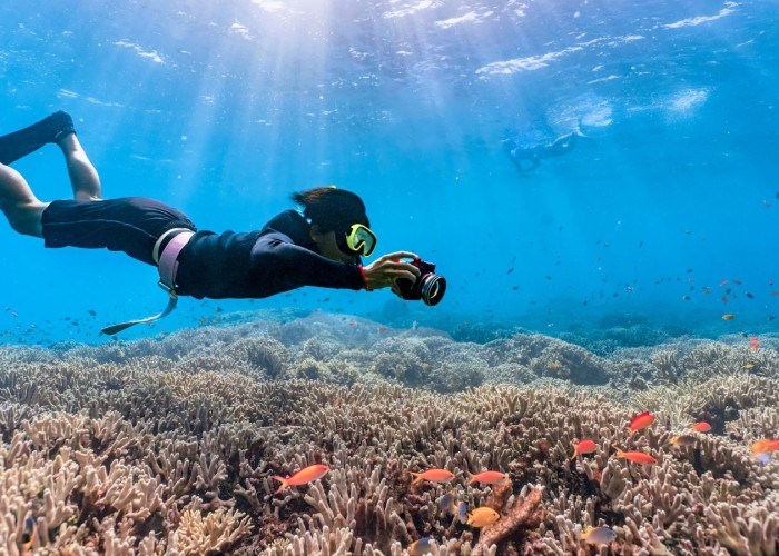 SCUBA TURTLES - Snorkelling & Diving