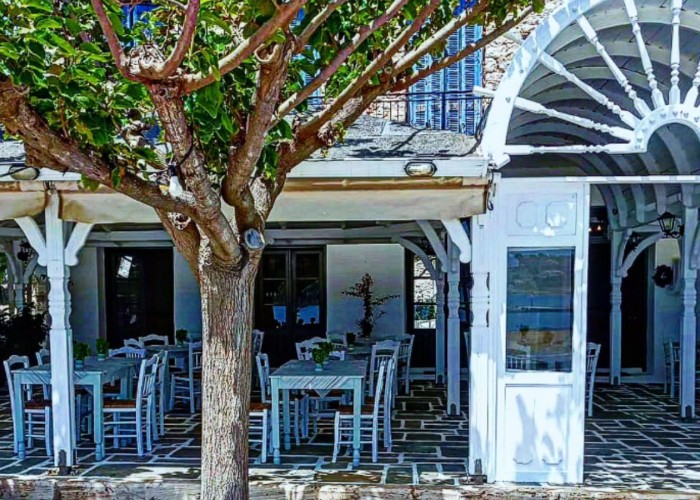 Taverna REX