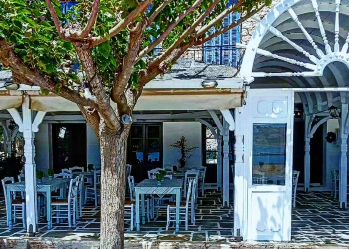 Taverna REX