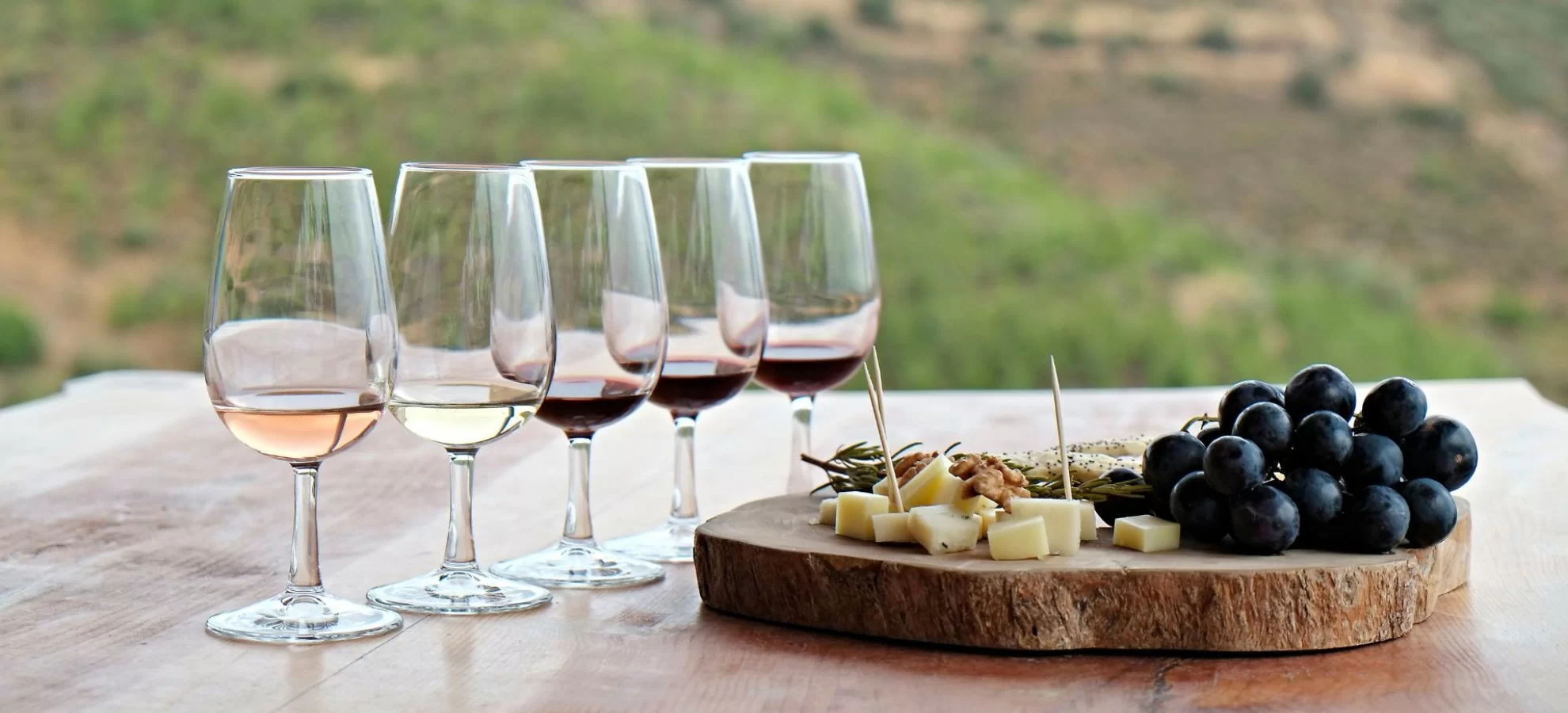 The Best Wine and Food Tasting Experiences in the Pylos Region
